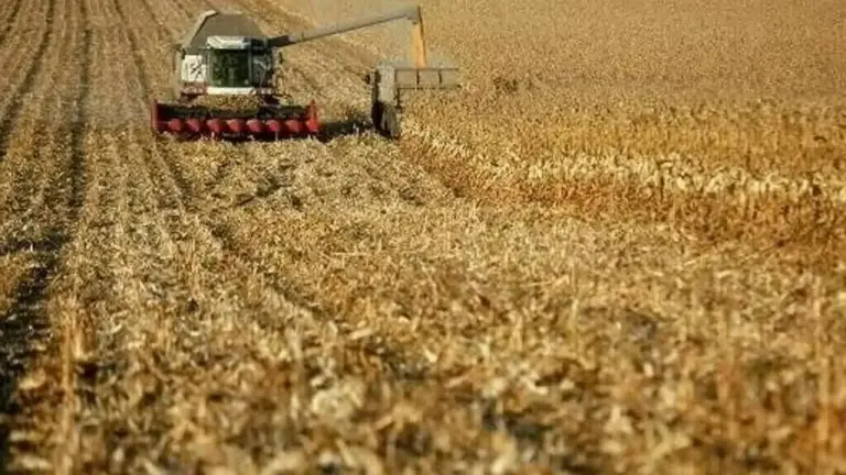 Pakistan Needs a National Agricultural Mechanization Policy Before Food Security Becomes a Crisis